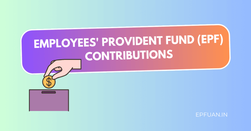 Employees' Provident Fund (EPF) Contributions