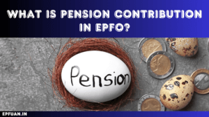 What is pension contribution in EPFO